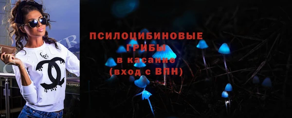 амф Бугульма