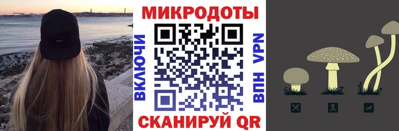 Галлюциногенные грибы Cubensis  Кадников 